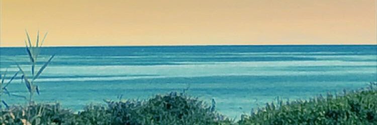 Lia Hickey banner