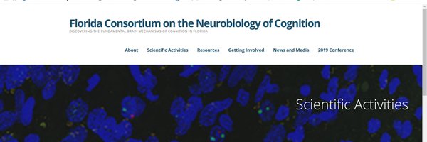 FCNeuroCog Profile Banner