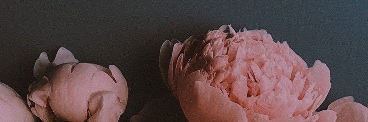 Emiflowerss's profile banner image