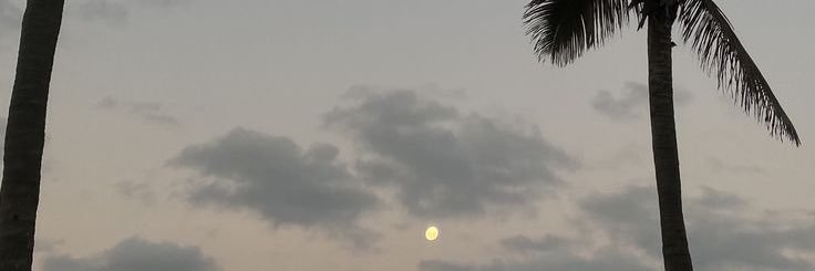 AniPuttini's profile banner image