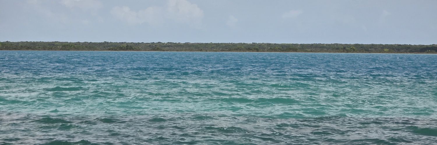 PhiCesarXA's profile banner image