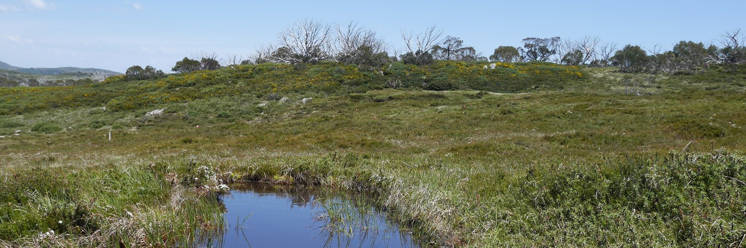 Samantha Grover banner