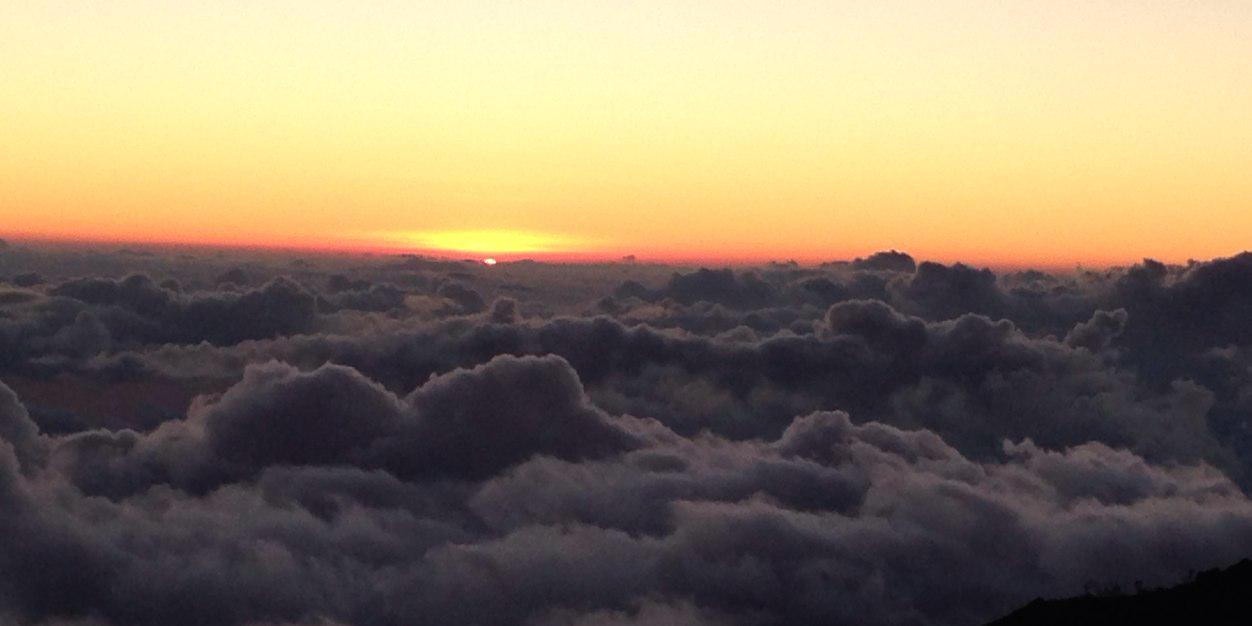 Anthony Porras banner