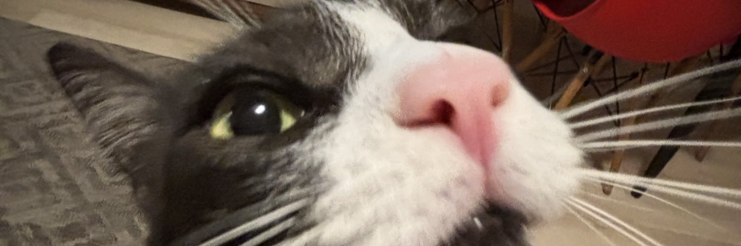 pturque1's profile banner image
