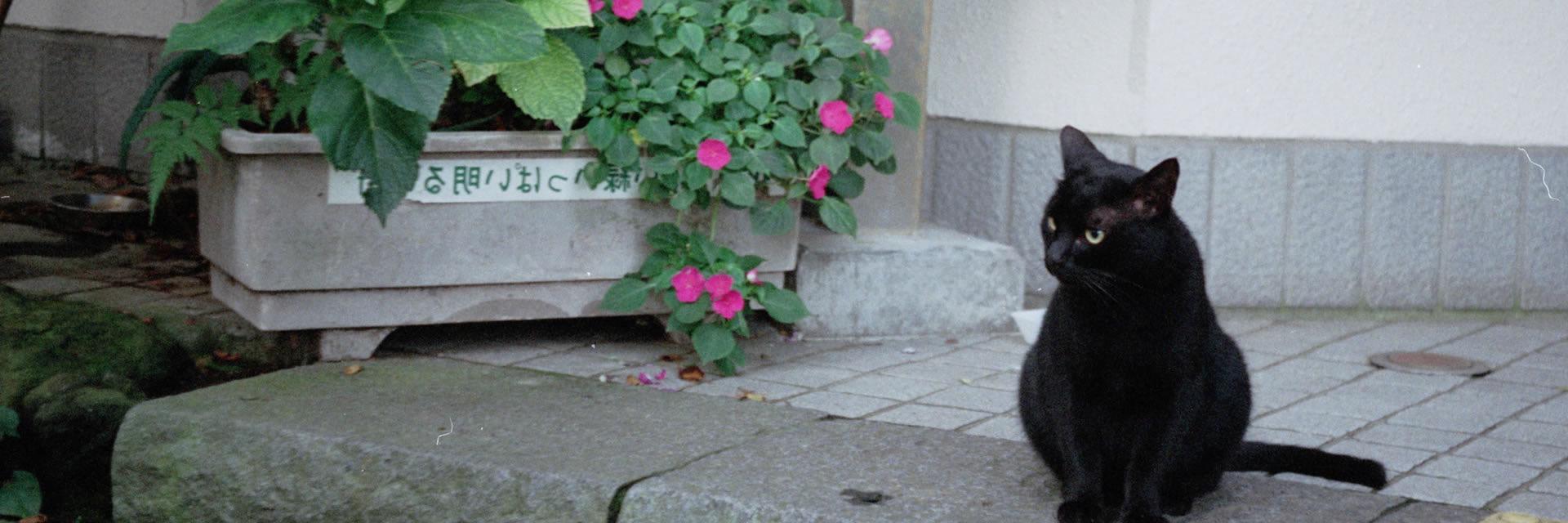 pinteksoft's profile banner image
