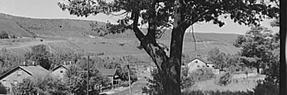 Peter Randolph banner