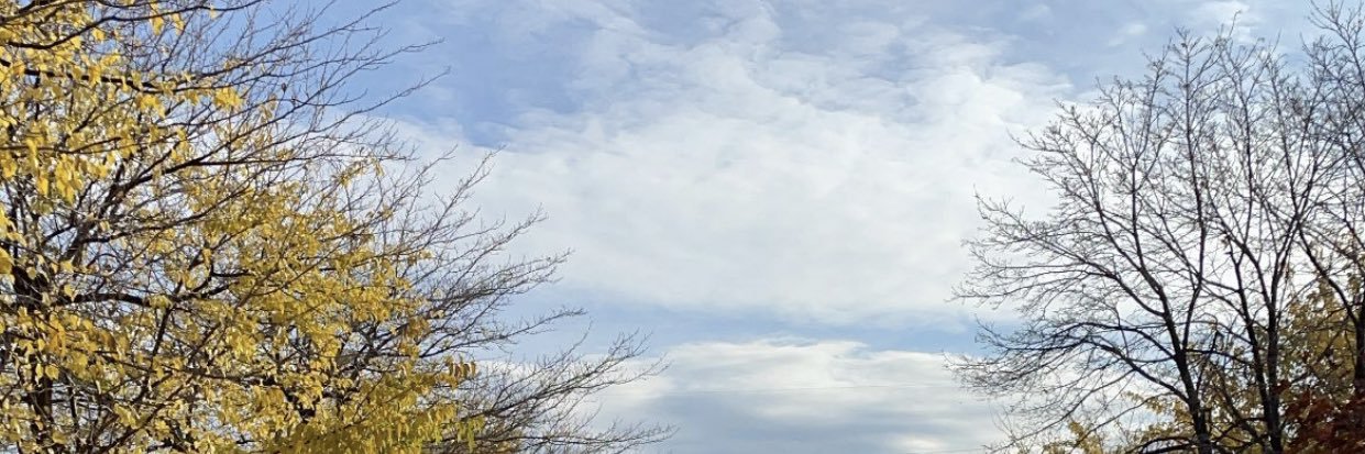 cumatulisann's profile banner image