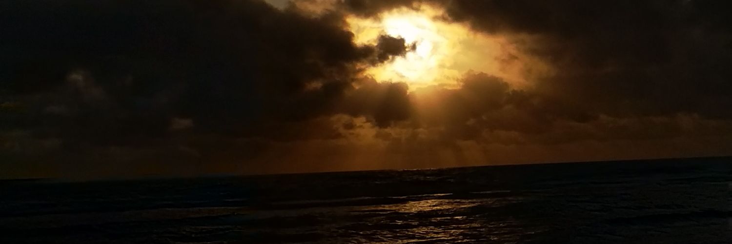 tarikfarah's profile banner image