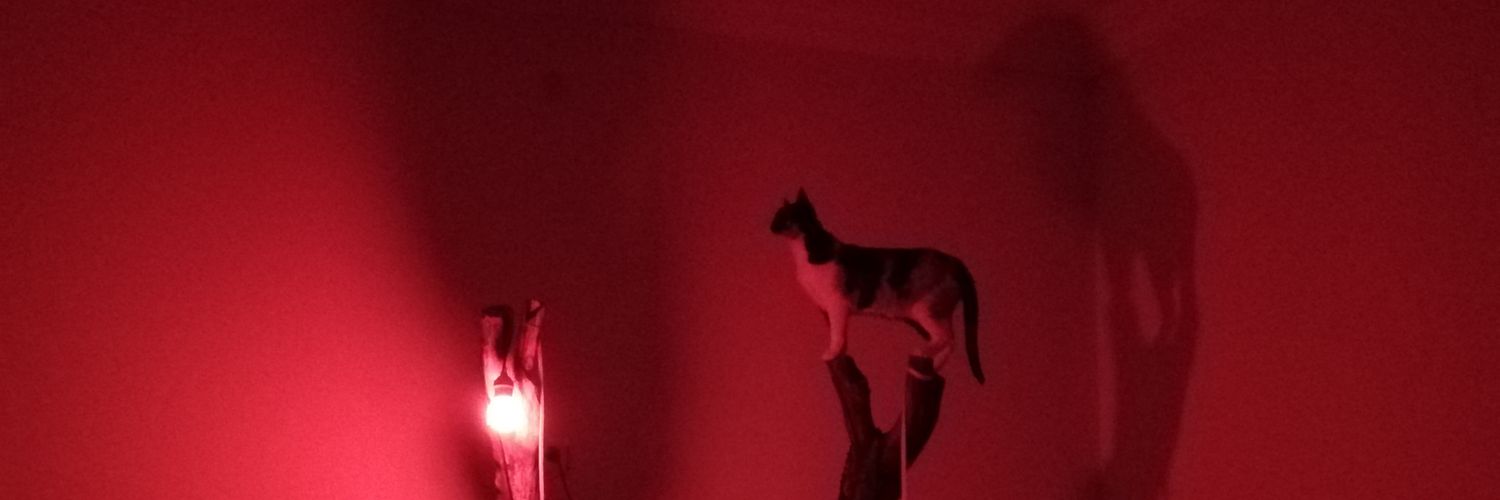 HrunSnr's profile banner image