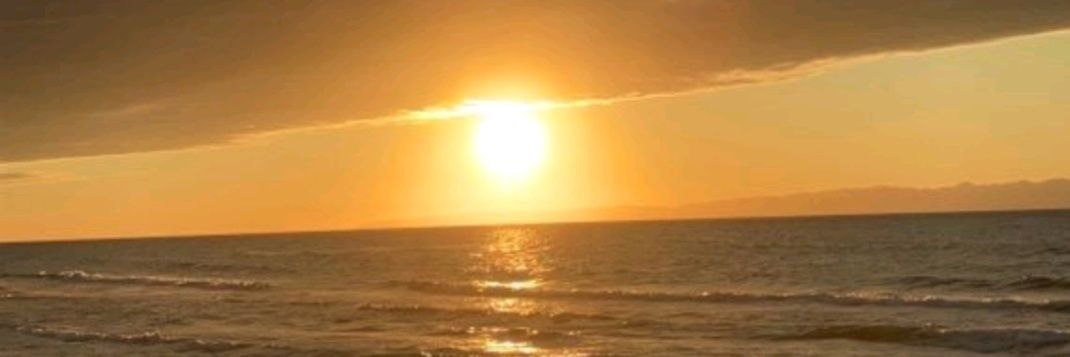 越後屋大蔵 banner