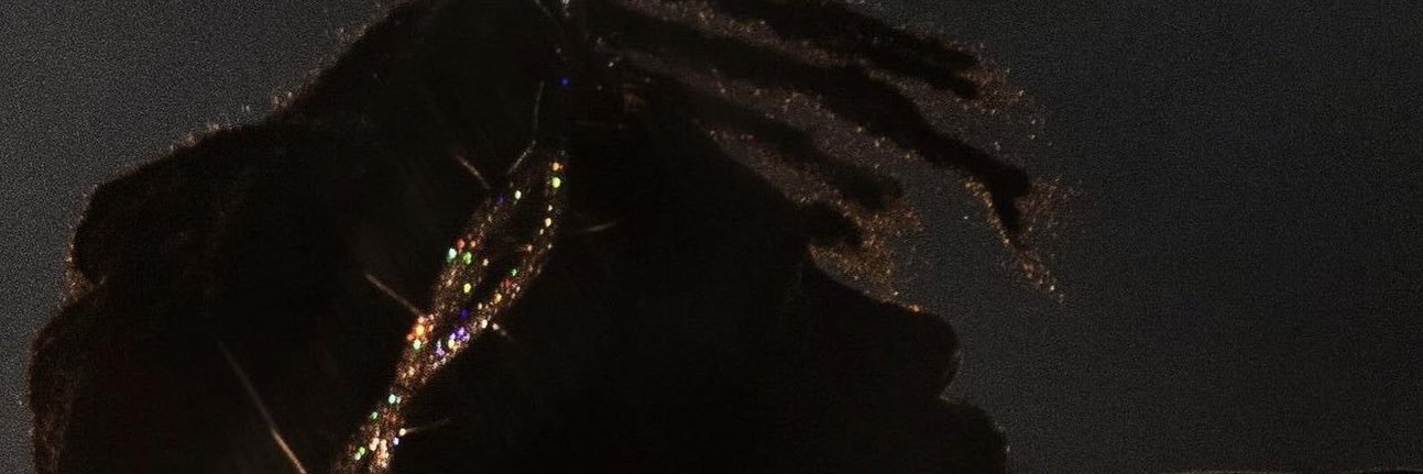 🪖 banner