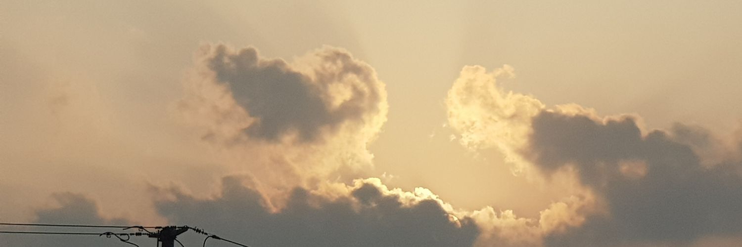 |･ω･｀)'s banner