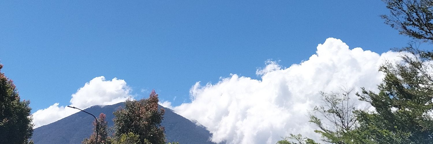 restiisnn's profile banner image
