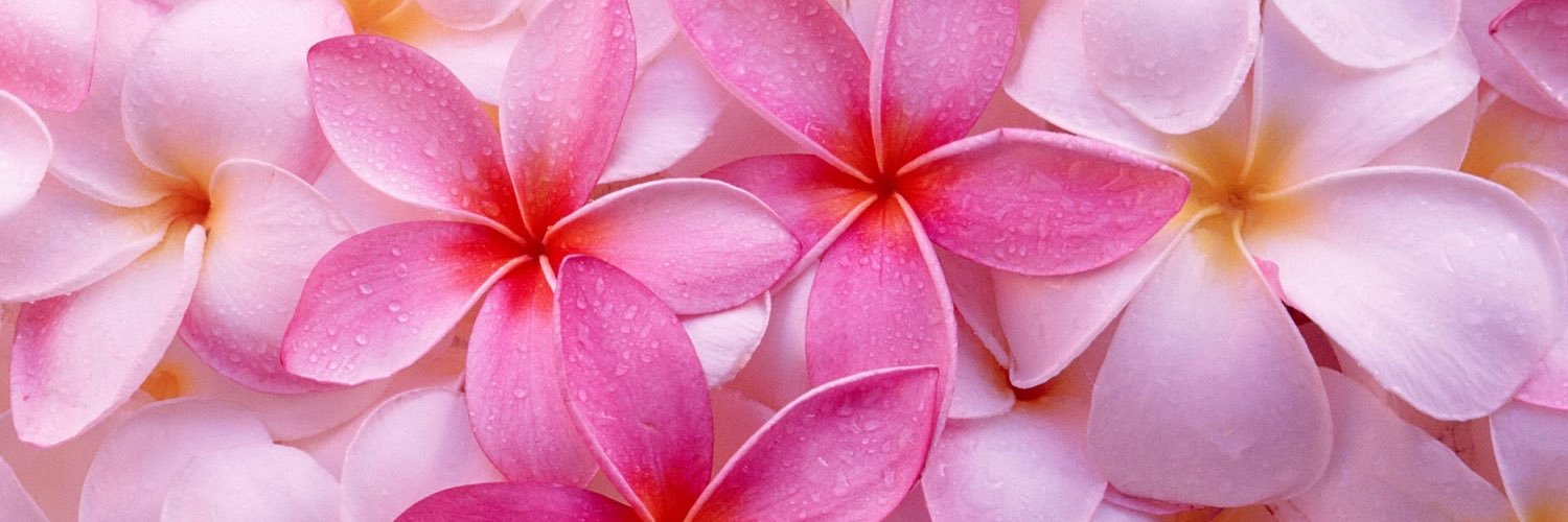 olaurax131's profile banner image