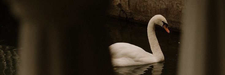 _i0om3's profile banner image