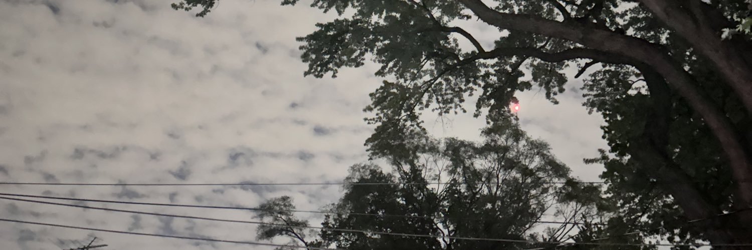 abbi804's profile banner image