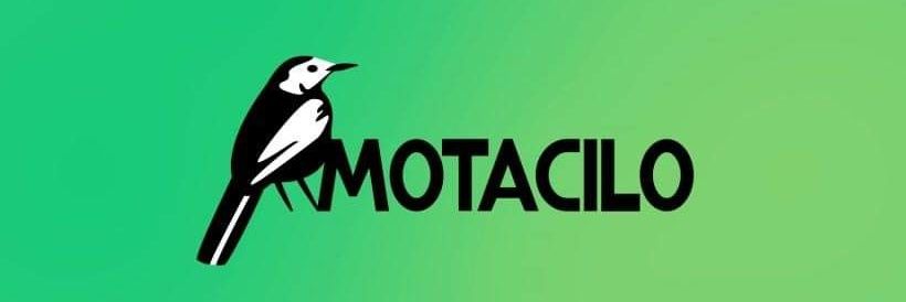 Kerry at Motacilo banner