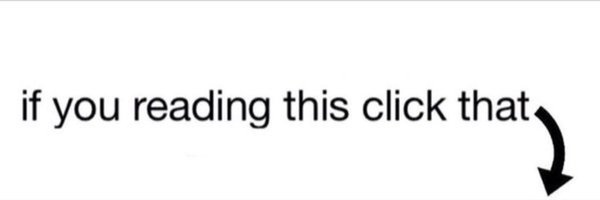 Surveyor Elias banner