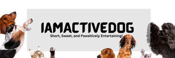 IamActiveDog Profile Banner