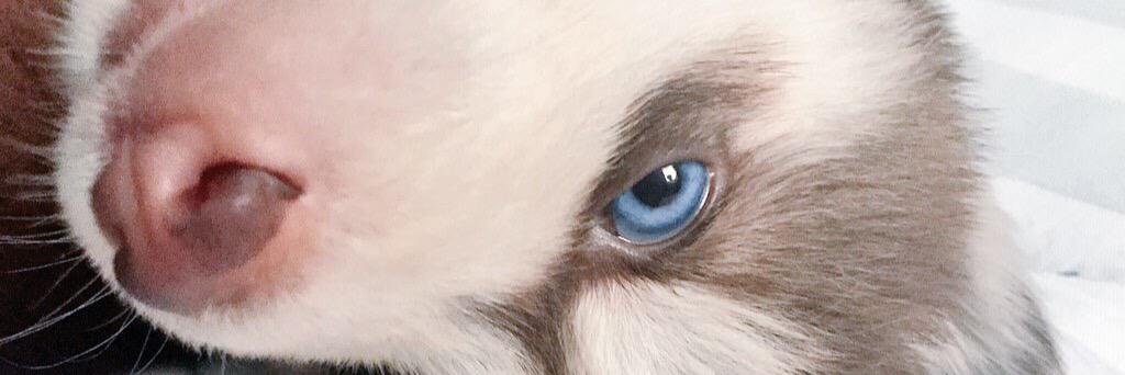 Defendini6's profile banner image