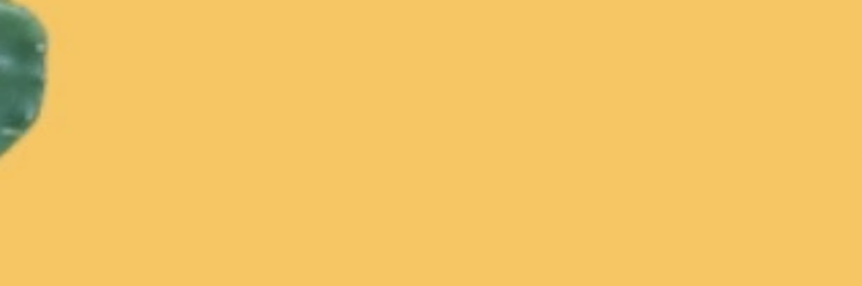 munozyvonne's profile banner image