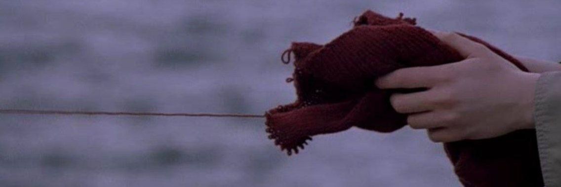 negar banner
