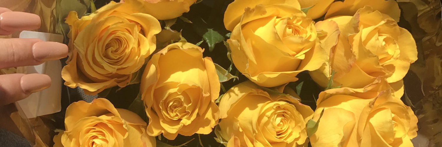 EllaRoache's profile banner image