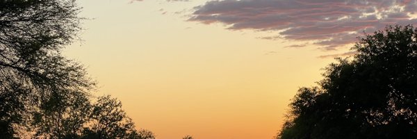 SML1one Profile Banner