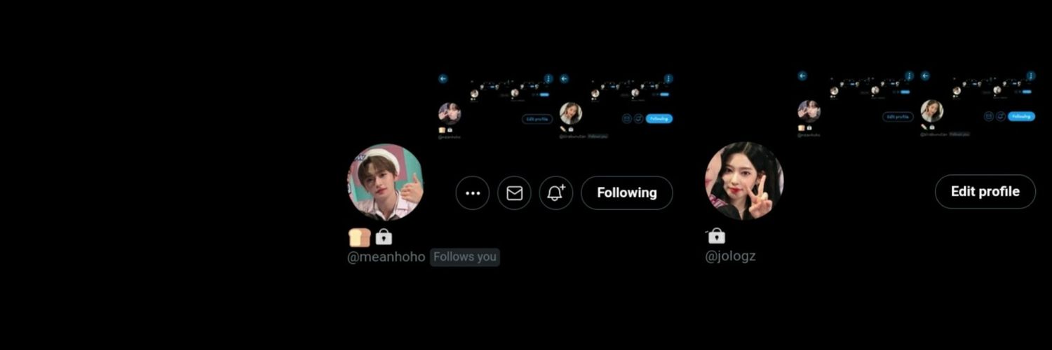 meanhoho's profile banner image
