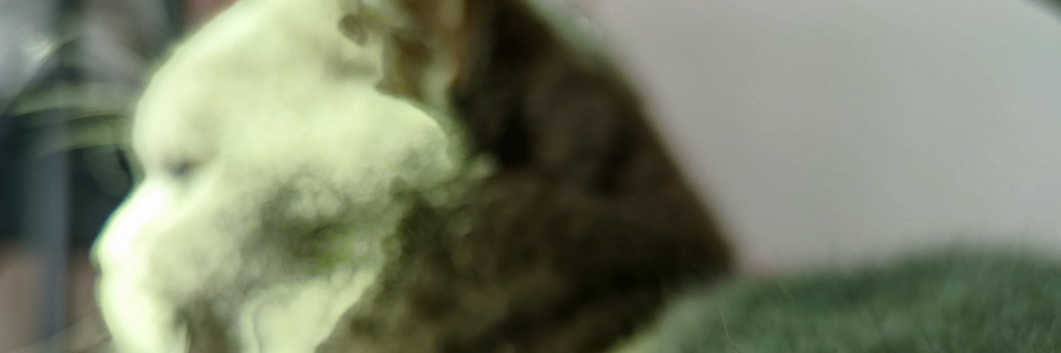 csswork's profile banner image
