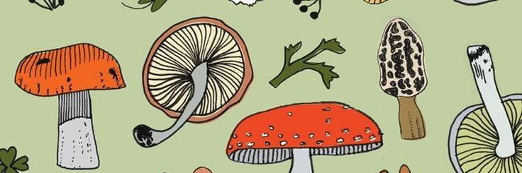 oddpatatas's profile banner image