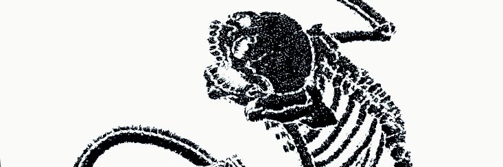 _Memento_'s profile banner image