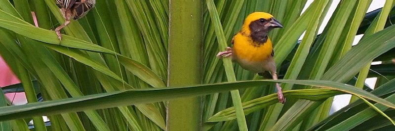 SKDPosts's profile banner image
