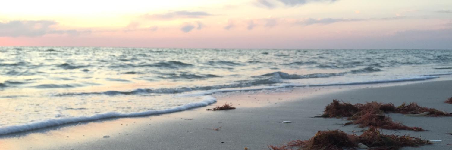 Melissa Elsen banner