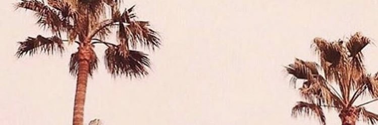 sageconnors2's profile banner image