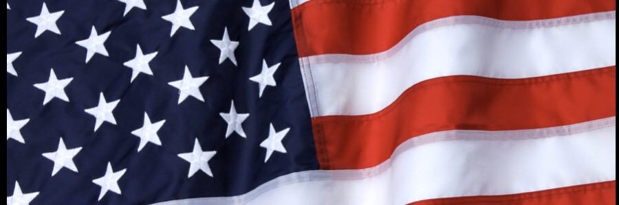 Lisablueslover banner