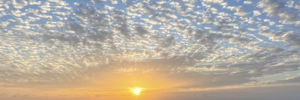 jerg_theurer Profile Banner