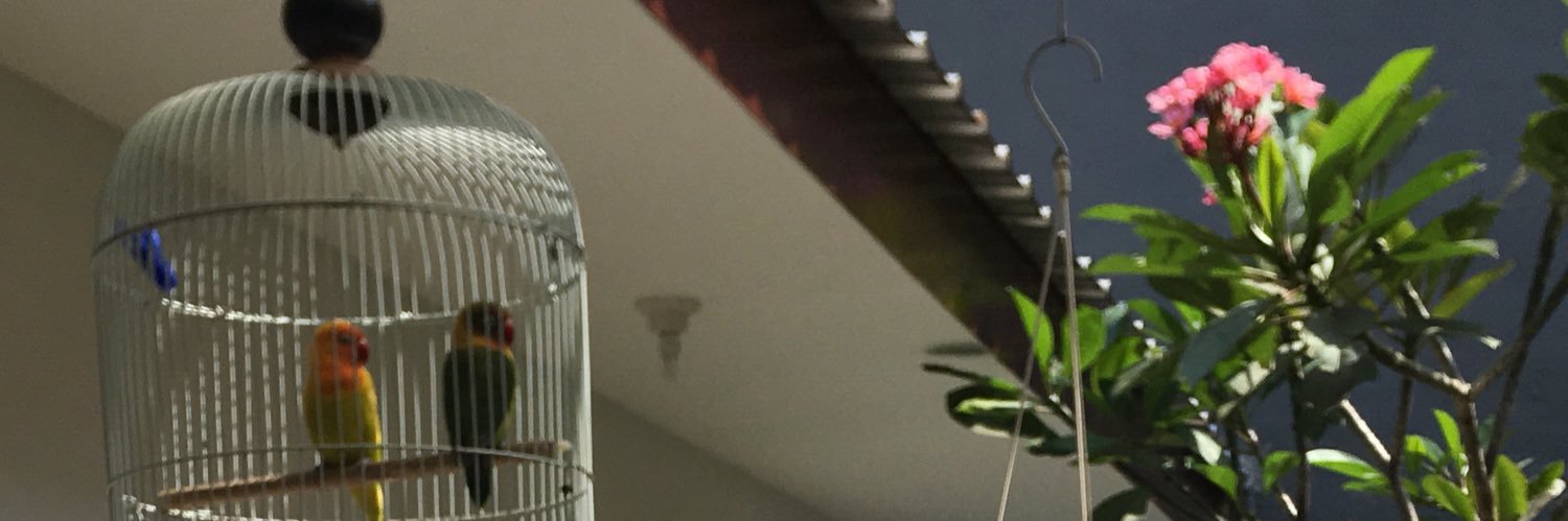 aewazis's profile banner image