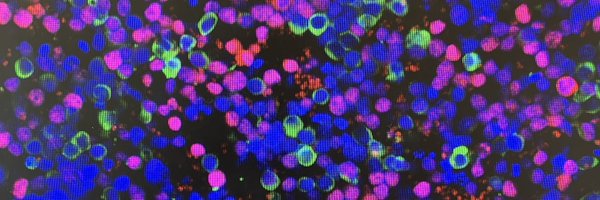 manas_adriana Profile Banner