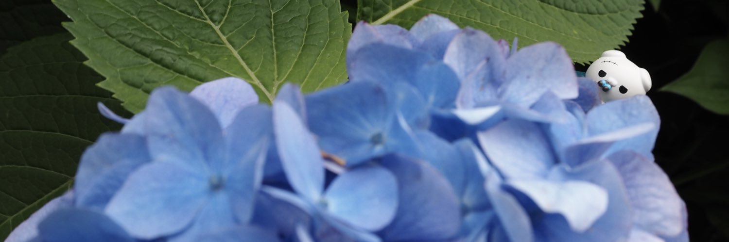 1011_rinco's profile banner image