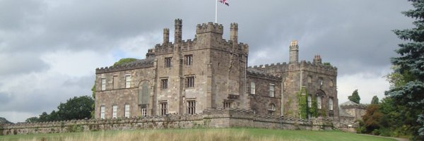 MsYaple Profile Banner