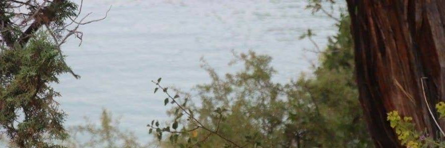 ZbasZekeriya's profile banner image