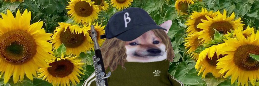 CCFuss's profile banner image