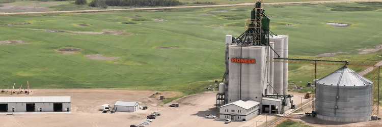 Richardson Pioneer Fastball League banner