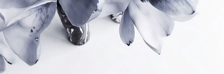 Melindactk12's profile banner image