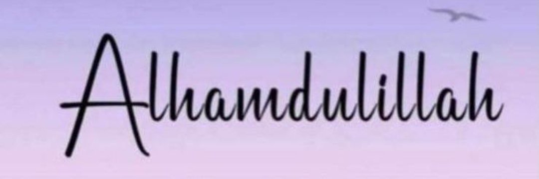 follydgrate's banner