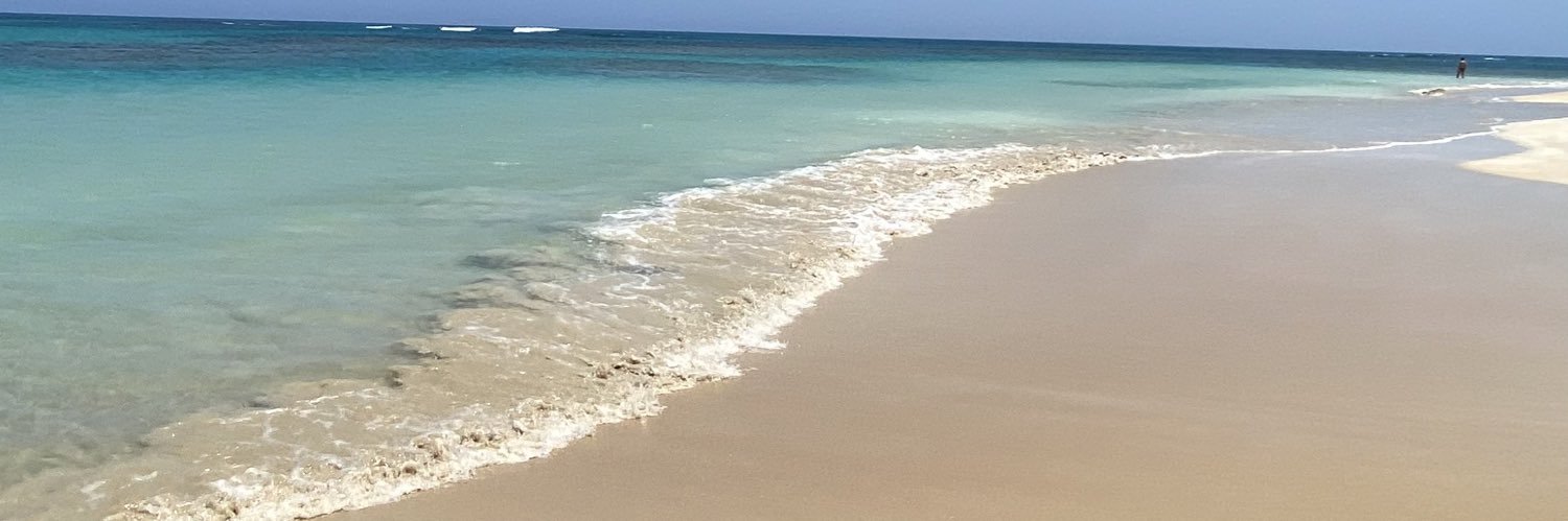 FreddyEpalm's profile banner image