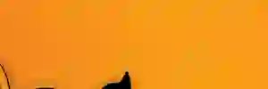 lawpup07's profile banner image