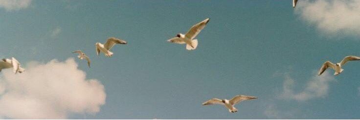 R. banner