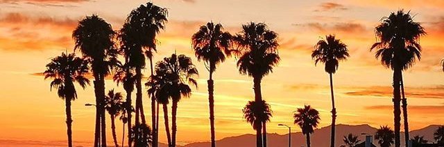 ciuxxo's profile banner image